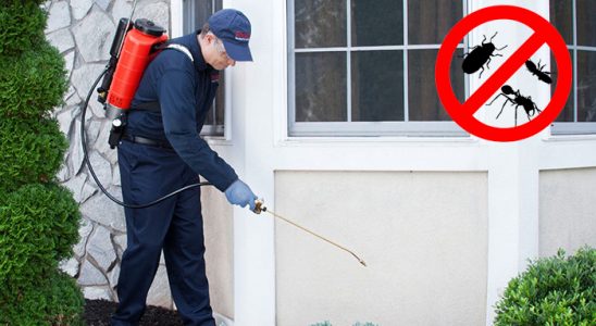 Uzunköprü Dezenfeksiyon böcek ilaçlama ve haşere kontrolü — ilaclama-tr.com